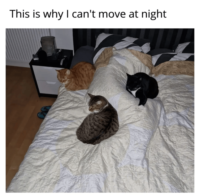 This is why I can't move at night