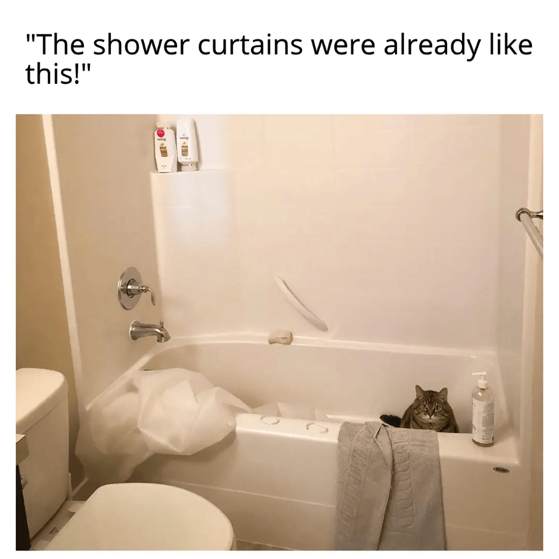 "The shower curtains were already like this!"