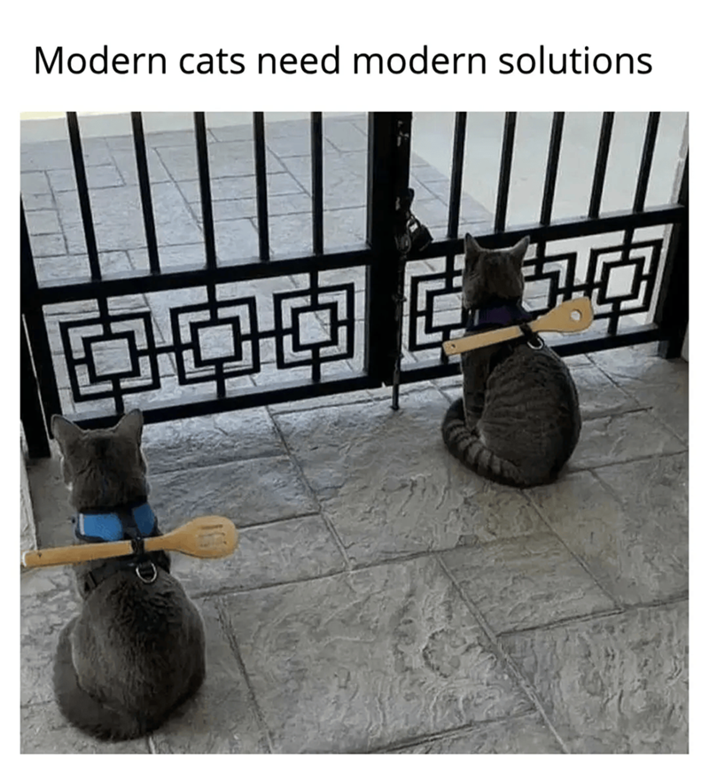 Modern cats need modern solutions