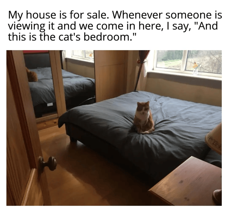 My house is for sale. Whenever someone is viewing it and we come in here, I say, "And this is the cat's bedroom."