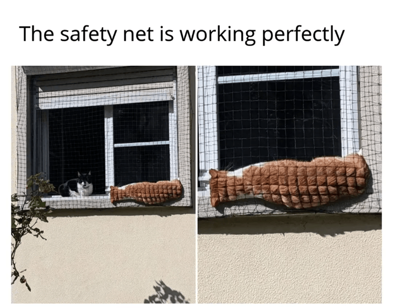 The safety net is working perfectly