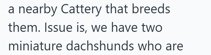 a nearby Cattery that breeds them. Issue is, we have two miniature dachshunds who are