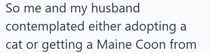 So me and my husband contemplated either adopting a cat or getting a Maine Coon from