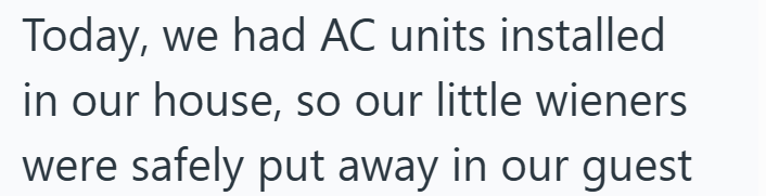 Today, we had AC units installed in our house, so our little wieners were safely put away in our guest