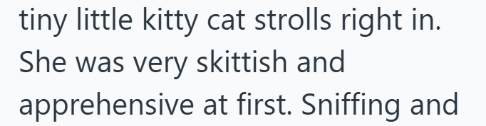 tiny little kitty cat strolls right in. She was very skittish and apprehensive at first. Sniffing and