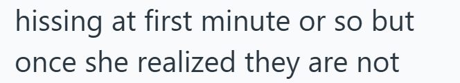 hissing at first minute or so but once she realized they are not