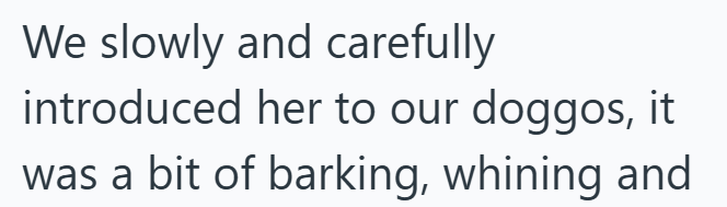 We slowly and carefully introduced her to our doggos, it was a bit of barking, whining and