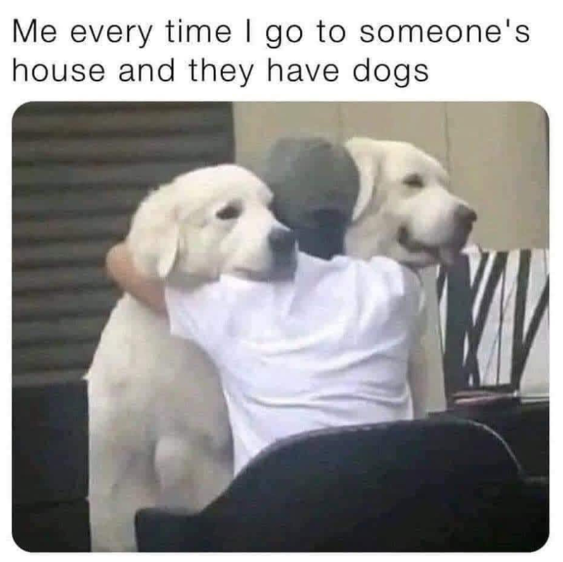 Me every time I go to someone's house and they have dogs