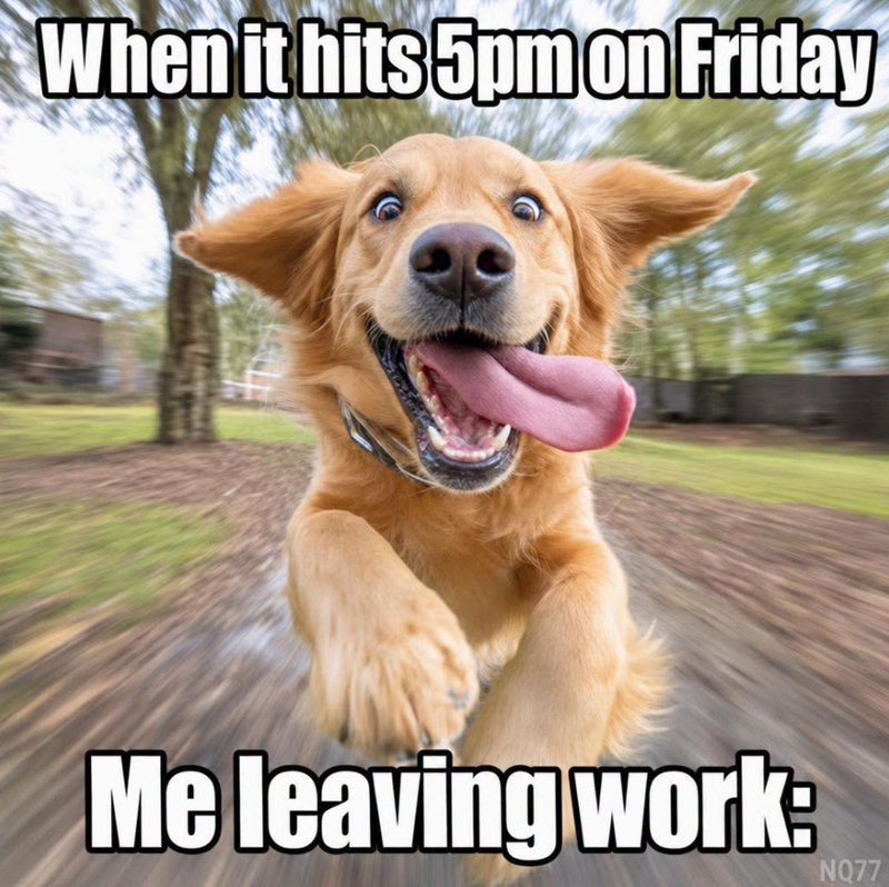 When it hits 5pm on Friday Me leaving work: NQ77
