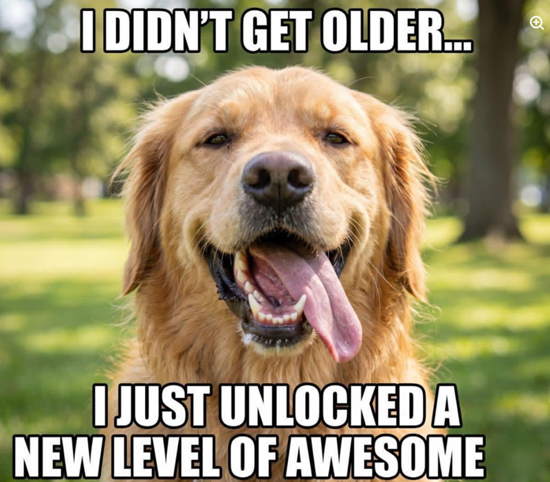 I DIDN'T GET OLDER... I JUST UNLOCKED A NEW LEVEL OF AWESOME