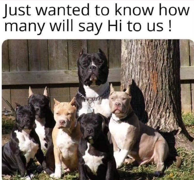 Just wanted to know how many will say Hi to us!