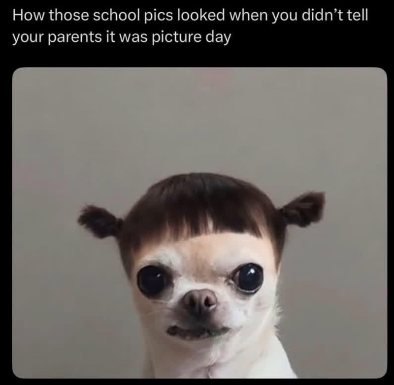 How those school pics looked when you didn't tell your parents it was picture day