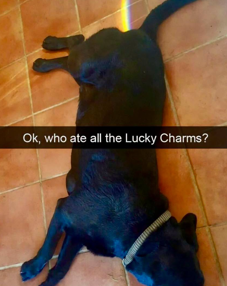 Ok, who ate all the Lucky Charms?
