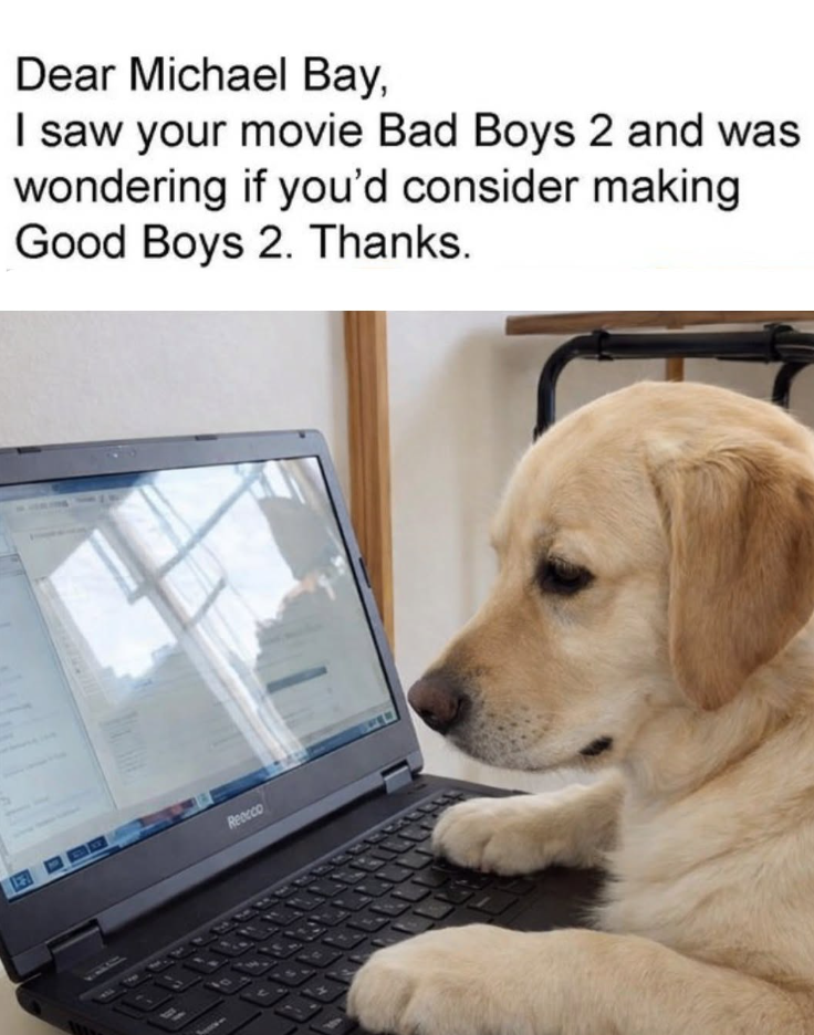 Dear Michael Bay, I saw your movie Bad Boys 2 and was wondering if you'd consider making Good Boys 2. Thanks. Reacco
