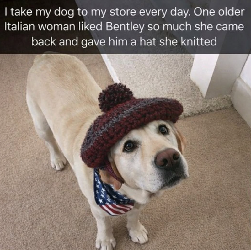 I take my dog to my store every day. One older Italian woman liked Bentley so much she came back and gave him a hat she knitted