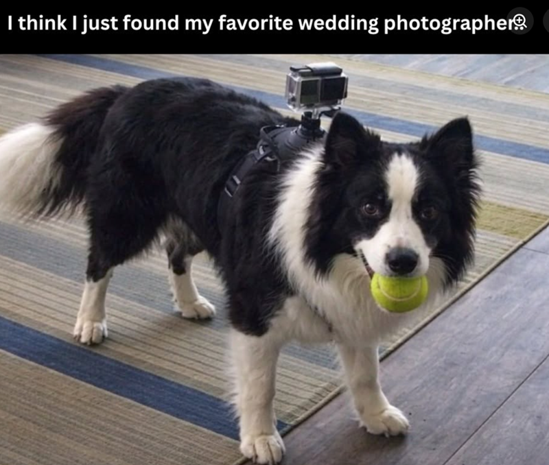 I think I just found my favorite wedding photographer