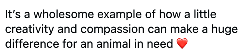 It's a wholesome example of how a little creativity and compassion can make a huge difference for an animal in need