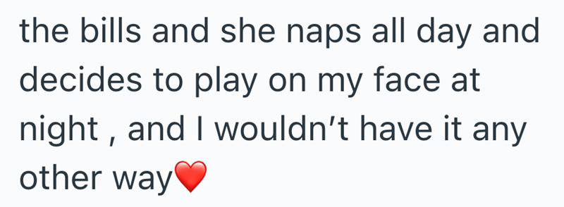 the bills and she naps all day and decides to play on my face at night, and I wouldn't have it any other way