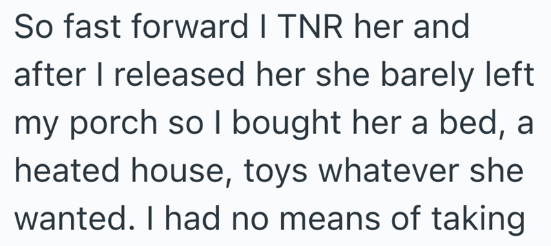 So fast forward I TNR her and after I released her she barely left my porch so I bought her a bed, a heated house, toys whatever she wanted. I had no means of taking