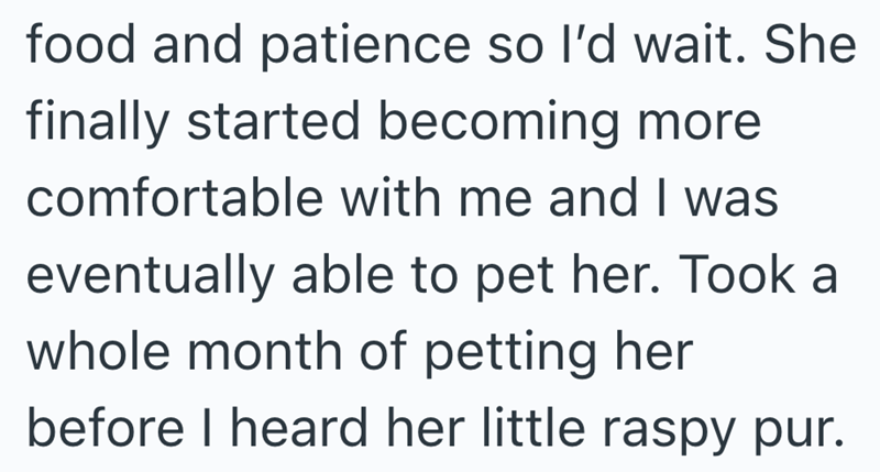 food and patience so I'd wait. She finally started becoming more comfortable with me and I was eventually able to pet her. Took a whole month of petting her before I heard her little raspy pur.