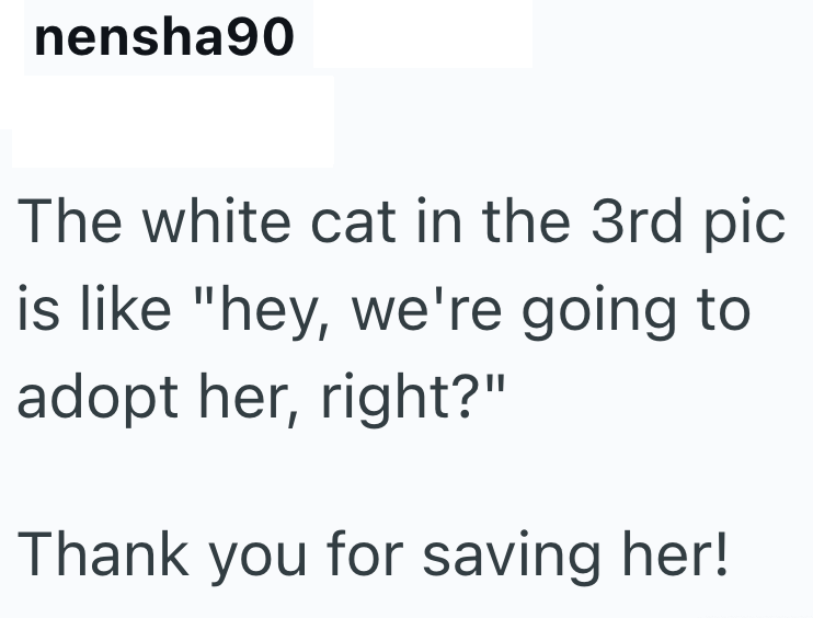 nensha90 The white cat in the 3rd pic is like "hey, we're going to adopt her, right?" Thank you for saving her!