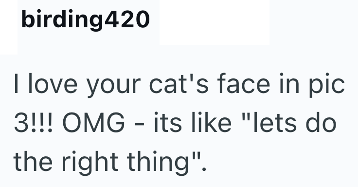 birding420 I love your cat's face in pic 3!!! OMG its like "lets do - the right thing".