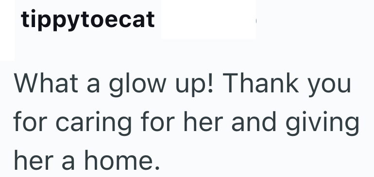 tippytoecat What a glow up! Thank you for caring for her and giving her a home.
