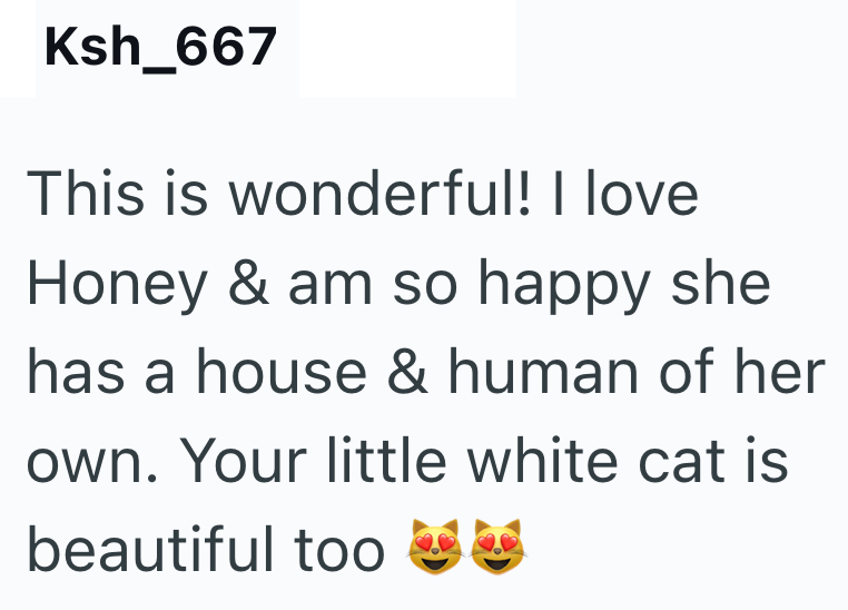 Ksh_667 This is wonderful! I love Honey & am so happy she has a house & human of her own. Your little white cat is beautiful too