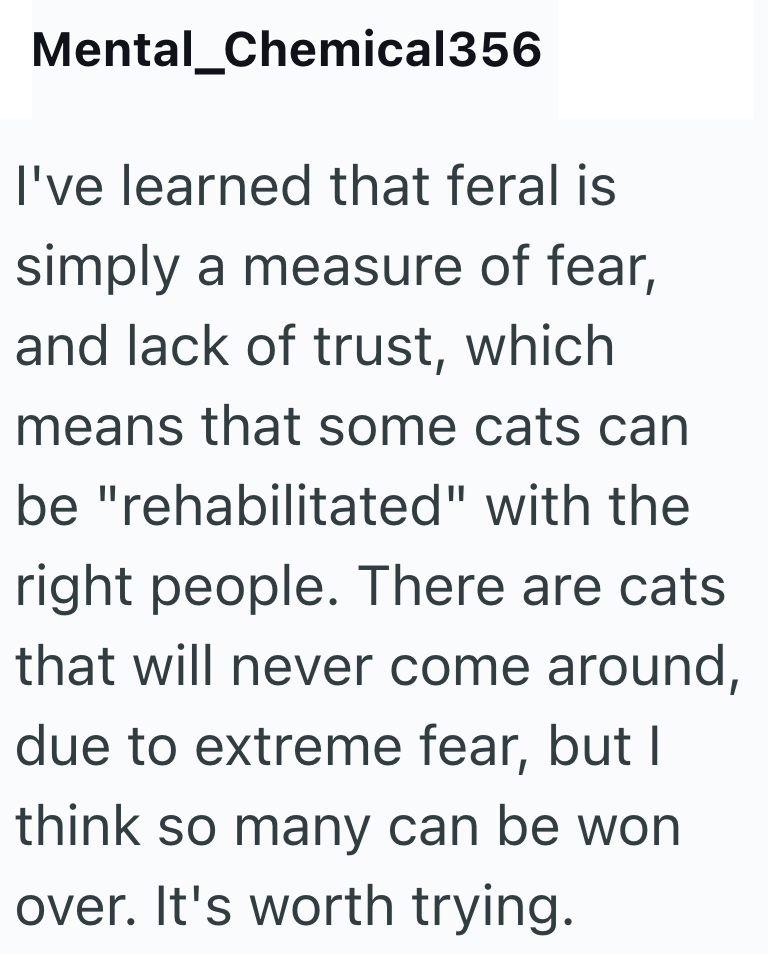 Mental_Chemical356 I've learned that feral is simply a measure of fear, and lack of trust, which means that some cats can be "rehabilitated" with the right people. There are cats that will never come around, due to extreme fear, but I think so many can be won over. It's worth trying.