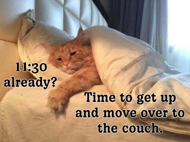 11:30 already? Time to get up and move over to the couch.