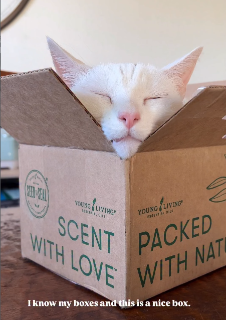 YOUNG LIVING RENTIAL OILS SCENT WITH LOVE YOUNG LIVING ESSENTIAL OILS PACKED WITH NAT I know my boxes and this is a nice box.
