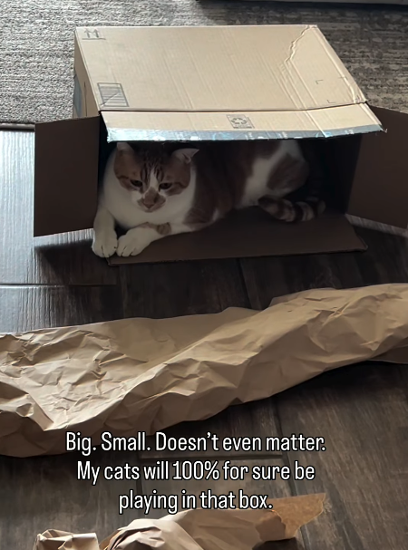 Big. Small. Doesn't even matter. My cats will 100% for sure be playing in that box.