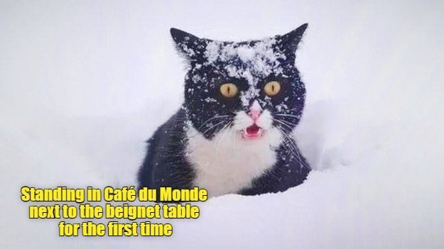 Standing in Café du Monde next to the beignet table for the first time