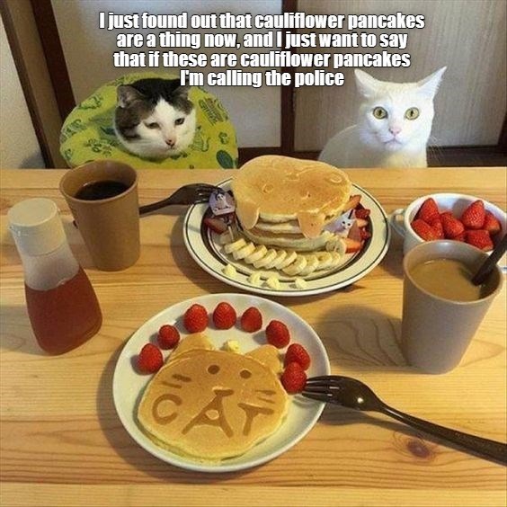 I just found out that cauliflower pancakes are a thing now, and I just want to say that if these are cauliflower pancakes I'm calling the police