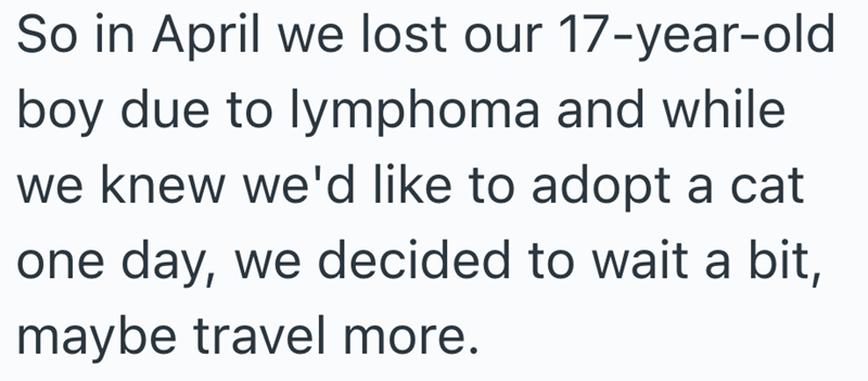 So in April we lost our 17-year-old boy due to lymphoma and while we knew we'd like to adopt a cat one day, we decided to wait a bit, maybe travel more.