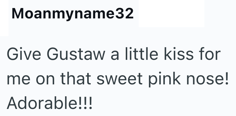 Moanmyname32 Give Gustaw a little kiss for me on that sweet pink nose! Adorable!!!