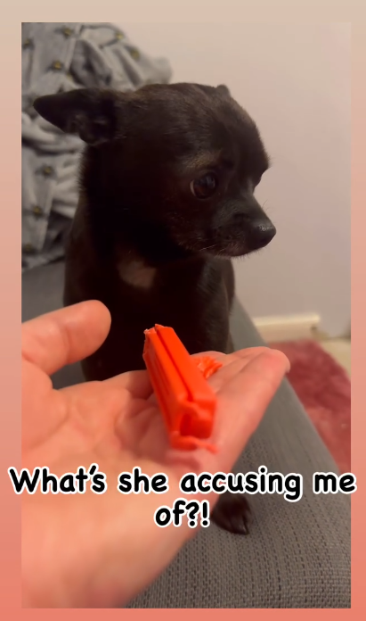 What's she accusing me of?!