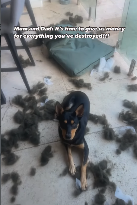 Mum and Dad: It's time to give us money for everything you've destroyed!!!