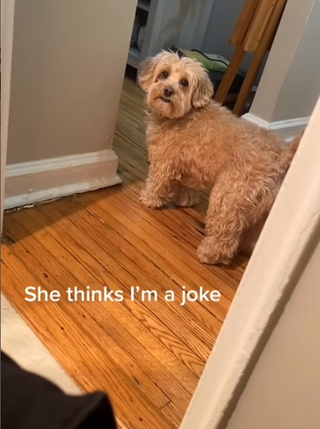 She thinks I'm a joke