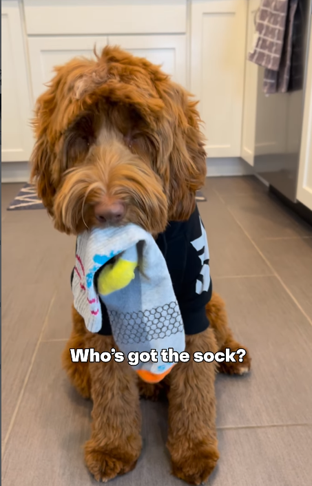 Who's got the sock?