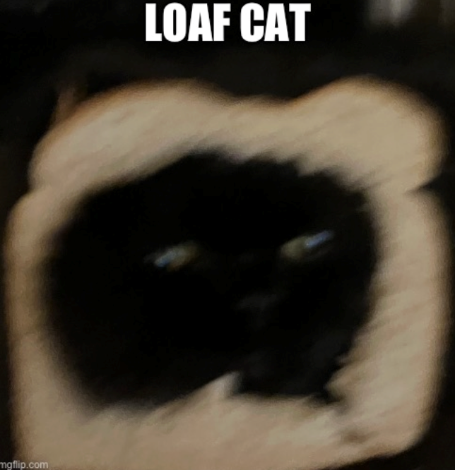 mgflip.com LOAF CAT