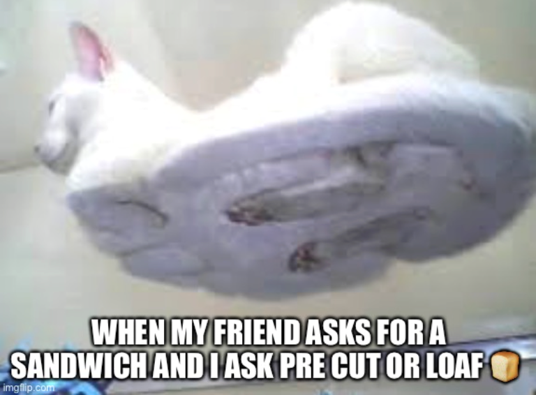 WHEN MY FRIEND ASKS FOR A SANDWICH AND I ASK PRE CUT OR LOAF imgflip.com