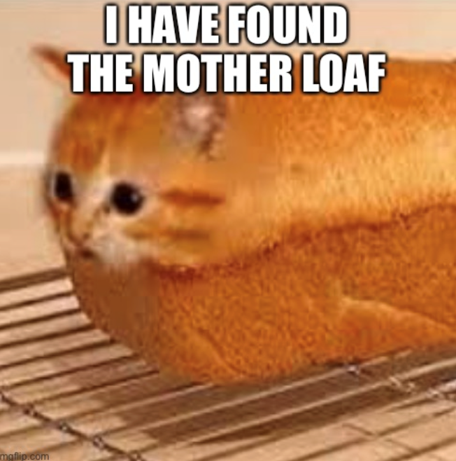 mgflip.com I HAVE FOUND THE MOTHER LOAF