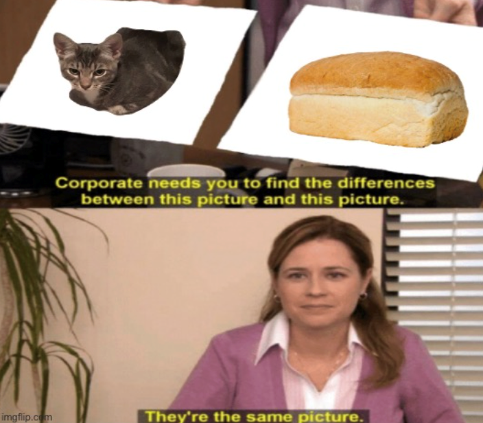 20 Corporate needs you to find the differences between this picture and this picture. imgflip.com They're the same picture.