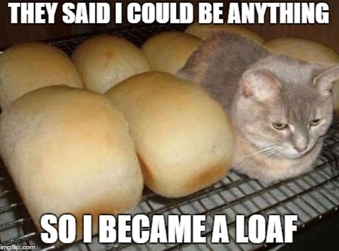THEY SAID I COULD BE ANYTHING imgflip.com SO I BECAME A LOAF