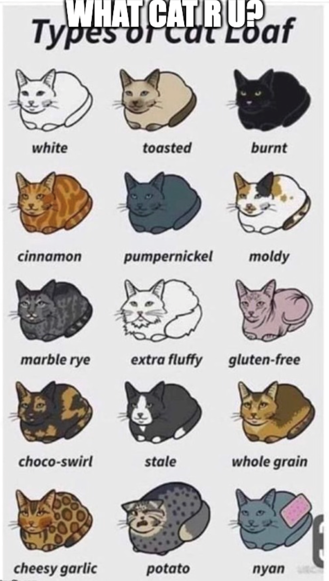 WHAT CAT RU? Types of cat at Loaf white toasted burnt cinnamon pumpernickel moldy marble rye extra fluffy gluten-free choco-swirl stale whole grain cheesy garlic potato nyan