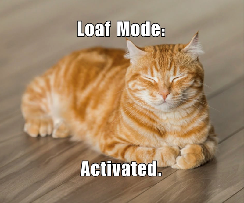 Loaf Mode: Activated
