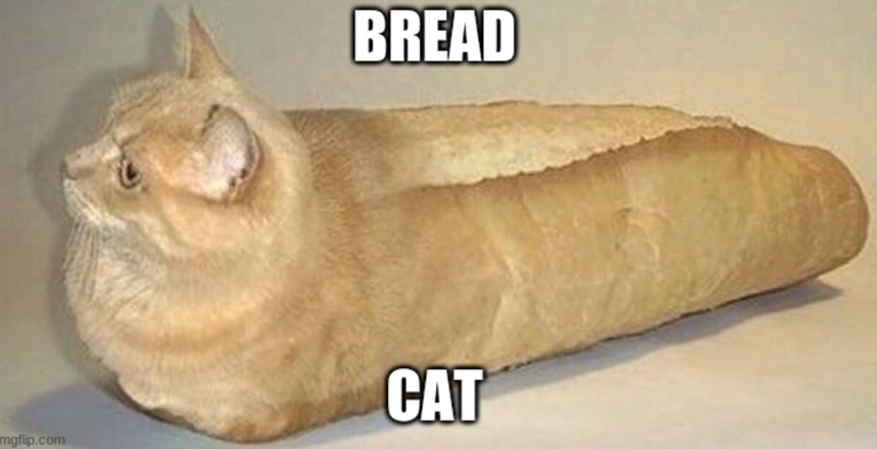 mgflip.com BREAD CAT