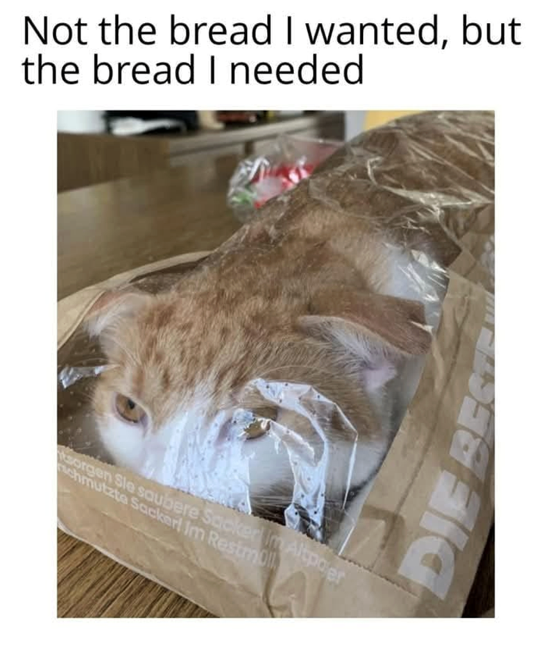 Not the bread I wanted, but the bread I needed sorgen Sie saubere Sacker im Altporer chmutzte Sacker! Im Restm DIE