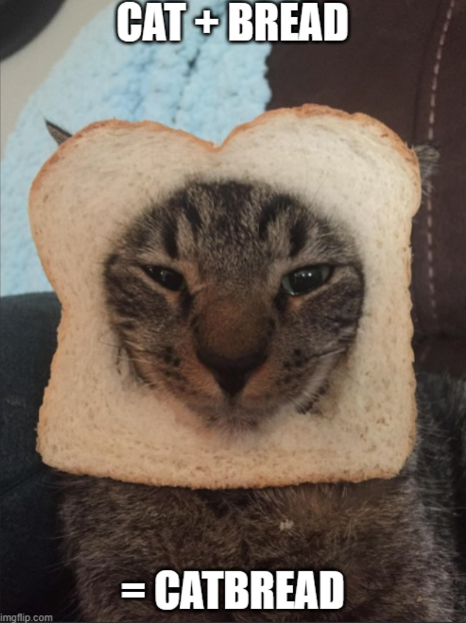 CAT + BREAD = CATBREAD imgflip.com
